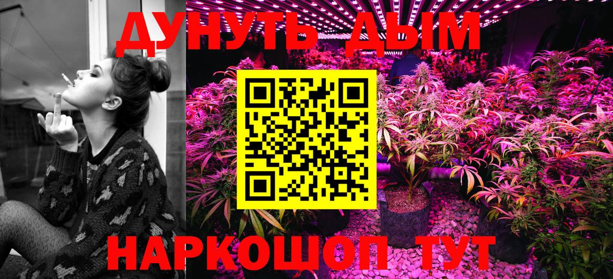 Конопля SATIVA & INDICA  Бошки Шишки Ganja  Вход с VPN  Бердск 